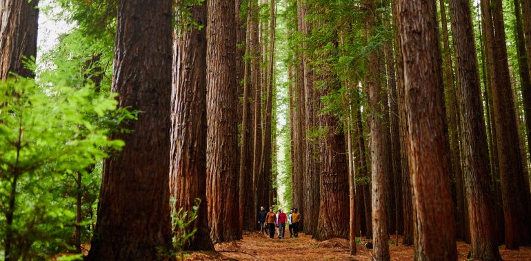 Warburton Adventure Company